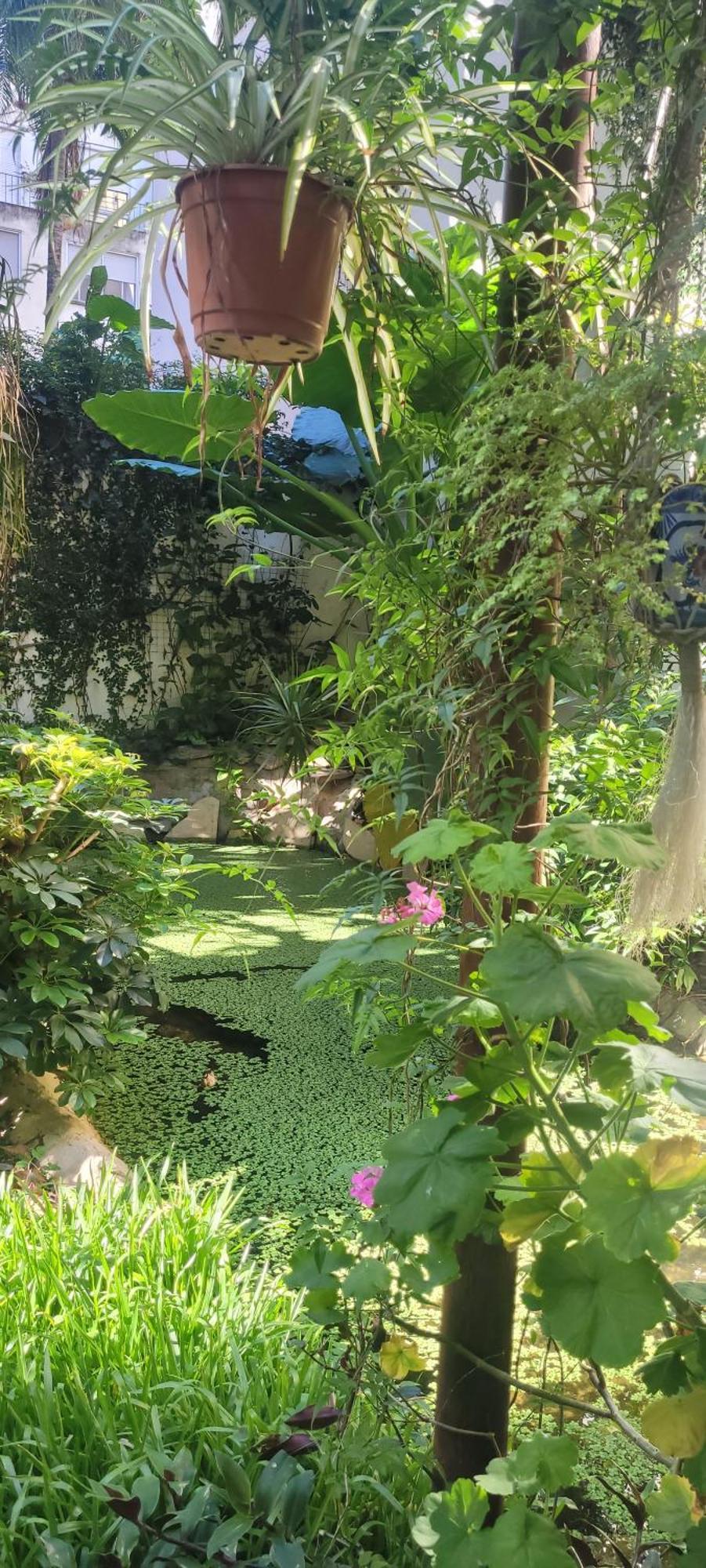 Belgrano Apartment Buenos Aires Ngoại thất bức ảnh